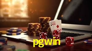 Interface Premium pgwin
